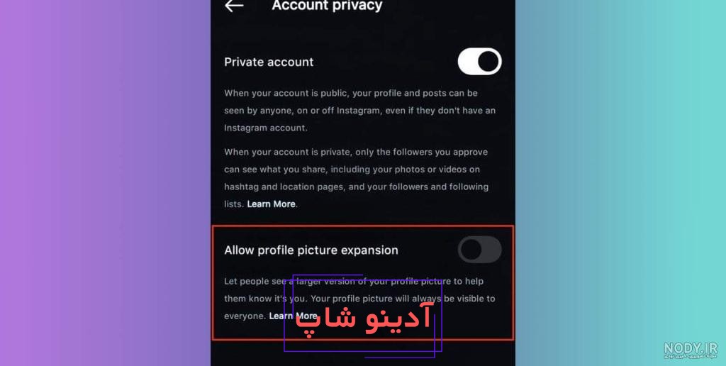 چگونه عکس پروفایل اینستاگرام را قفل کنیم - عکس نودی
