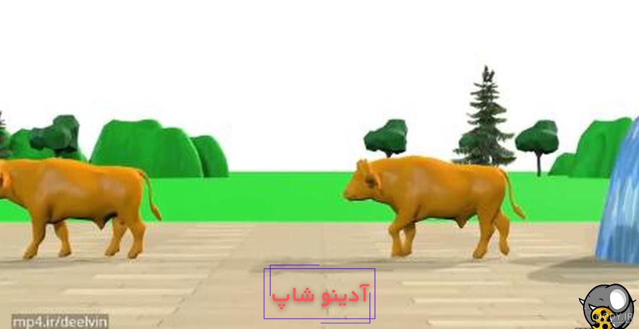 گلچین عکس بانمک و دیدنی گاو نماد سال 1400