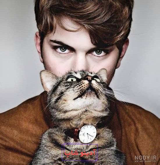 ۴۰ عکس گربه کیوت و ملوس ۱۴۰۳ برای پروفایل و عکس گربه باکیفیت برای بکگراند و