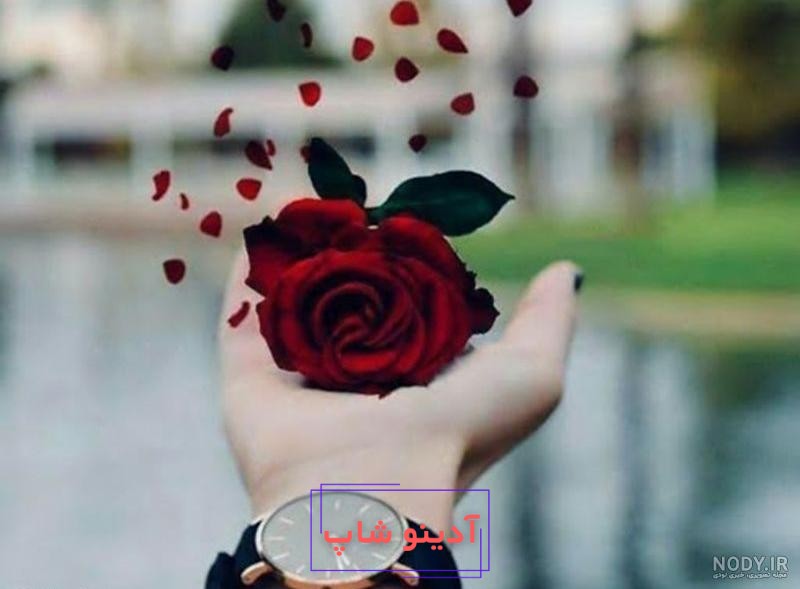 ۶۰ عکس پروفایل آسمان با منظره های بسیار زیبا و چشم نواز