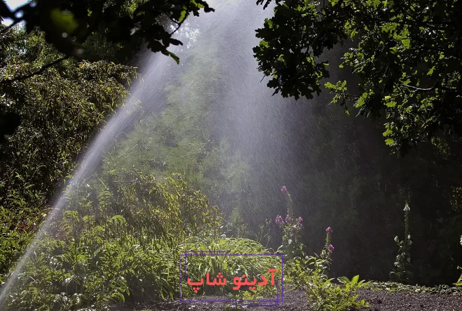 بهترین زمان آبیاری درختان در تابستان