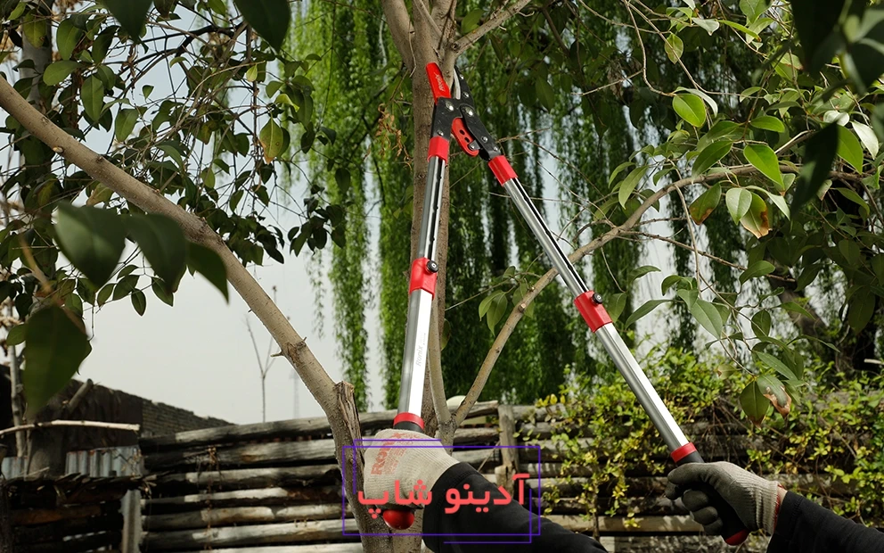 تصویر قیچی شاخه‌زن رونیکس