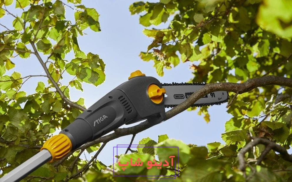 شاخه زن استیگا