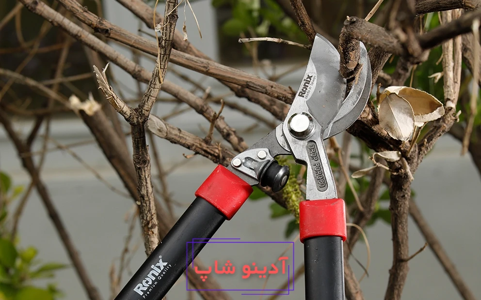 عکس  قیچی شاخه زن رونیکس