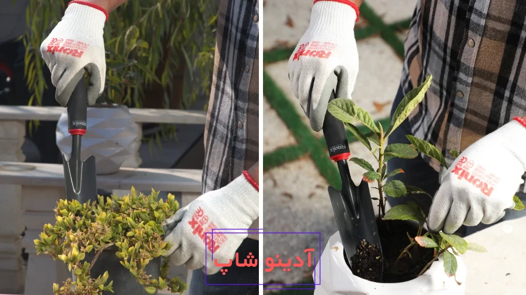 دستکش مناسب برای باغبانی؛دست‌هایی سالم، باغی پرثمر