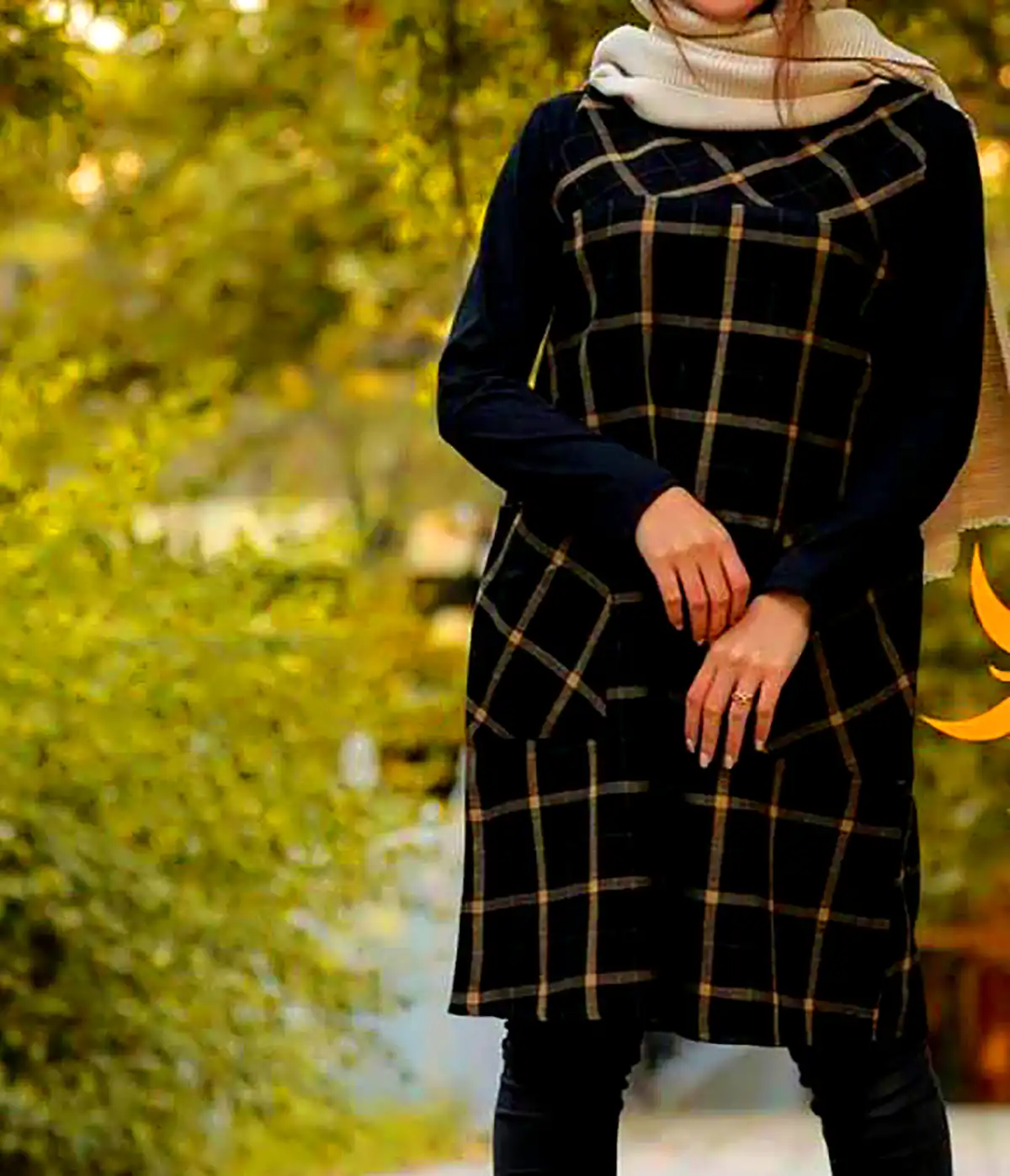 شکت خاص چارخونه
