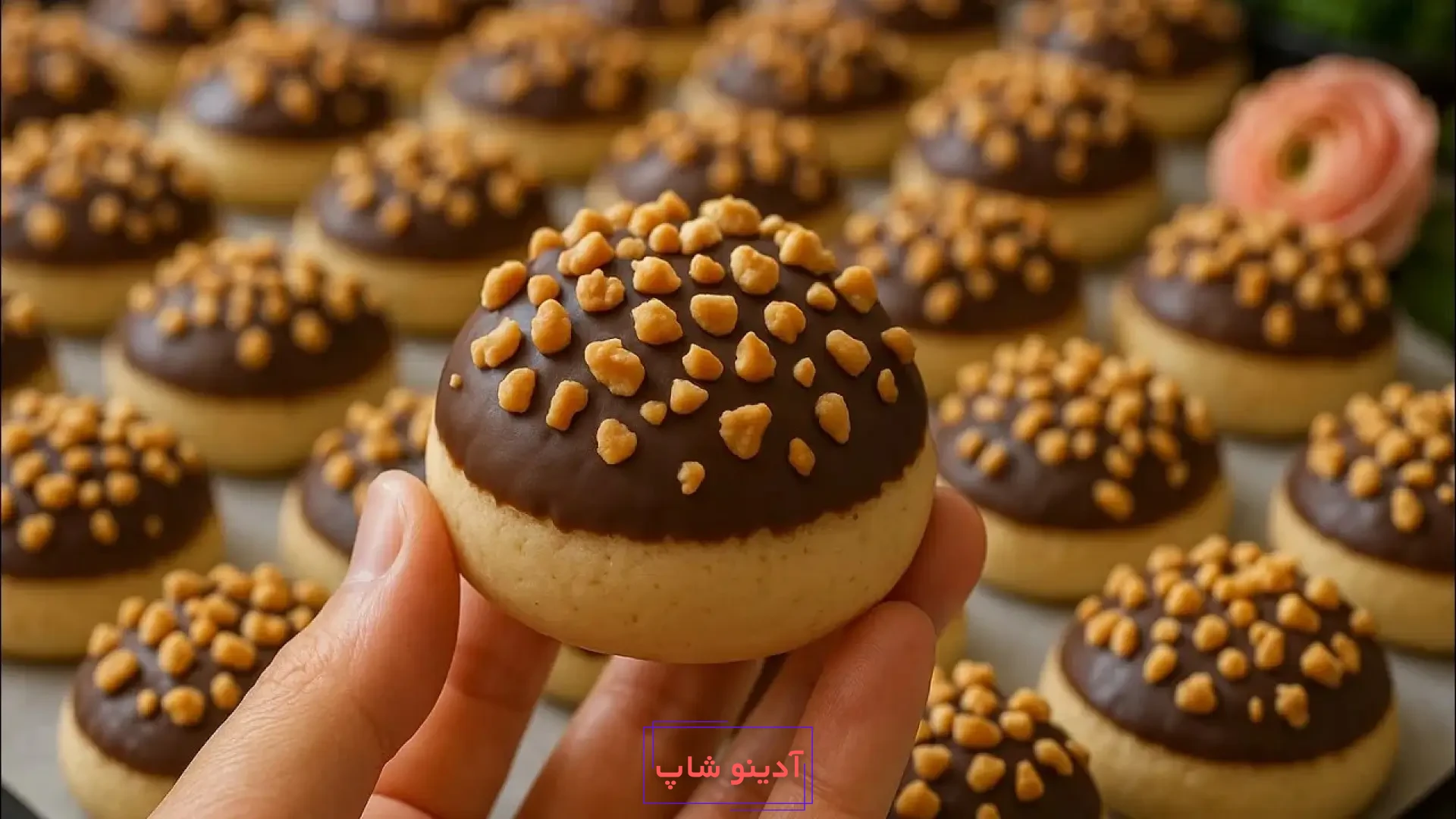 شیرینی خانگی گرد با روکش شکلات قهوه‌ای و تزیین خرده‌های بادام زمینی در دست