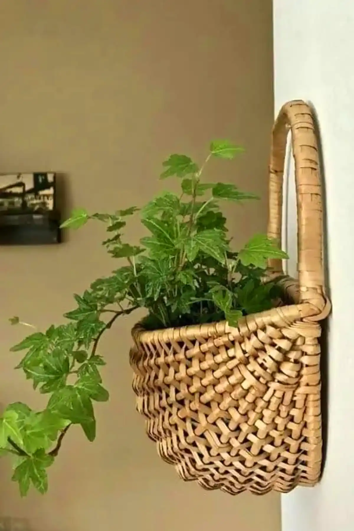 گلدون حصیری مدرن و خاص 