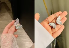 اکسسوری پروانه + اکسسوری رویایی و پینترستی پروانه ترند