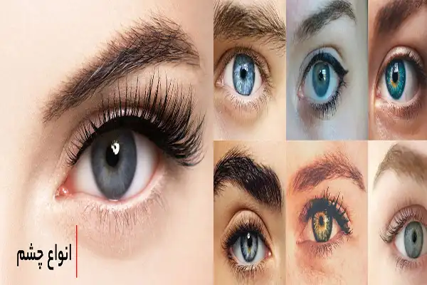 انواع فرم چشم + انواع فرم چشم و آشنایی با فرم های بسیار خواستنی و جذاب آن