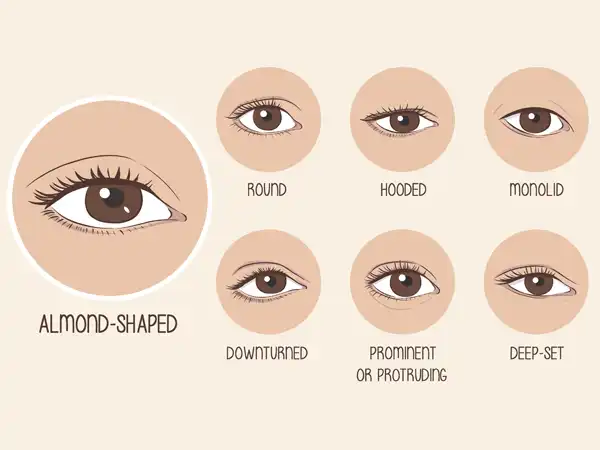 انواع فرم چشم + انواع فرم چشم و آشنایی با فرم های بسیار خواستنی و جذاب آن