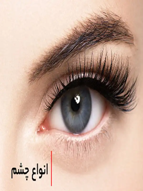 انواع فرم چشم + انواع فرم چشم و آشنایی با فرم های بسیار خواستنی و جذاب آن