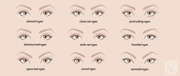 انواع فرم چشم + انواع فرم چشم و آشنایی با فرم های بسیار خواستنی و جذاب آن