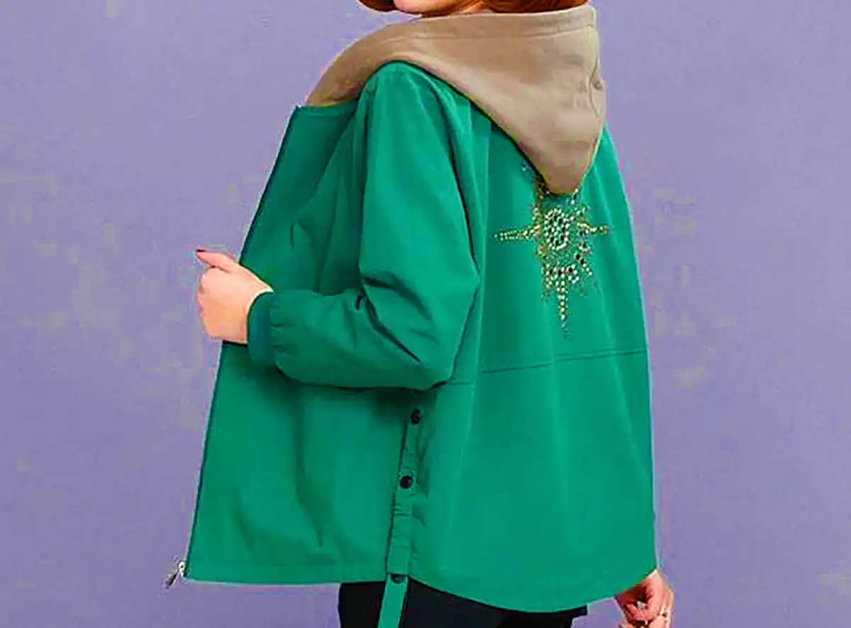 بارونی آستر دار کره ای