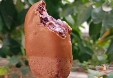 طرز تهیه بستنی مگنوم