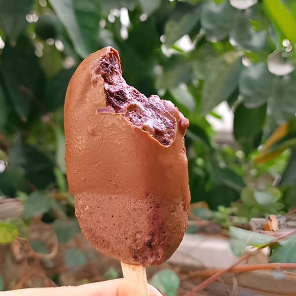 طرز تهیه بستنی مگنوم