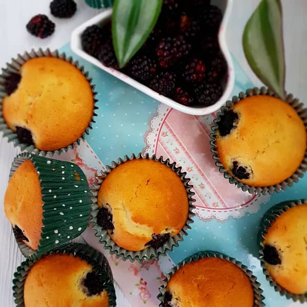 طرز تهیه کاپ کیک تمشک, دستور پخت کاپ کیک تمشک