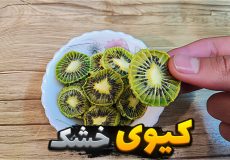 آموزش خشک کردن کیوی | میوه خشک کن خونگی بدون دردسر | خشکبار