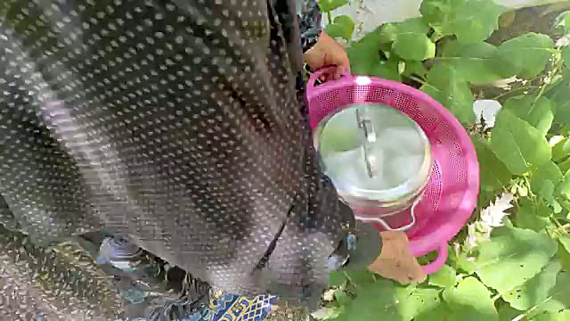 آموزش پخت مرغ شکم‌پر روی ساج به سبک بختیاری