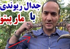 حسن ریوندی - رویارویی وحشتناک مار پیتون با حسن ریوندی