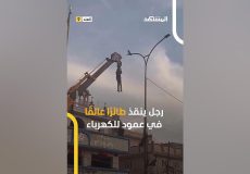 لحظه فداکاری مرد برای نجات پرنده با آویزان شدن از جرثقیل