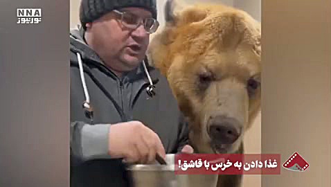 ویدئوی عجیب از غذا خوردن یک خرس با قاشق