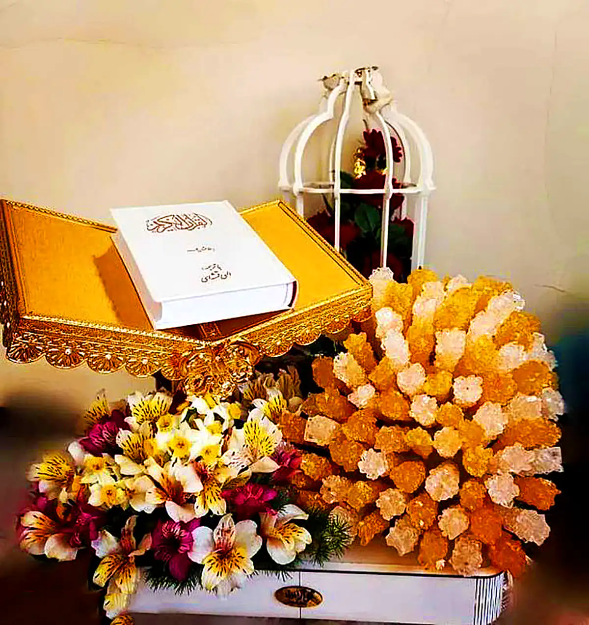 دیزیان نبات سفره عقد