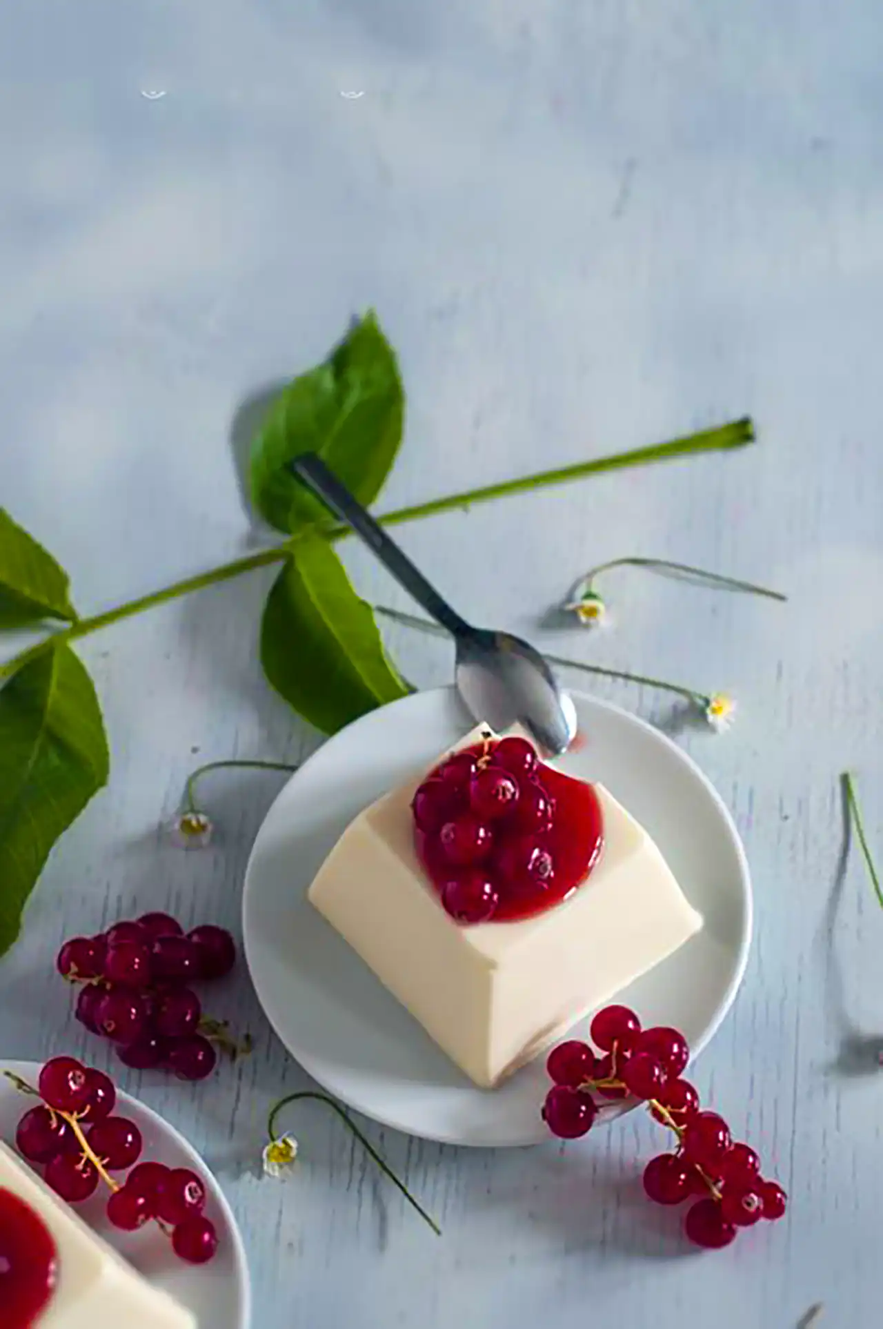 ژله بستنی برای مهمانی