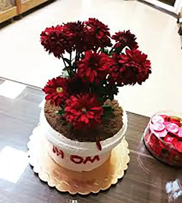 کیک مدل گلدان گل + جدید ترین کیک مدل گلدان گل سال