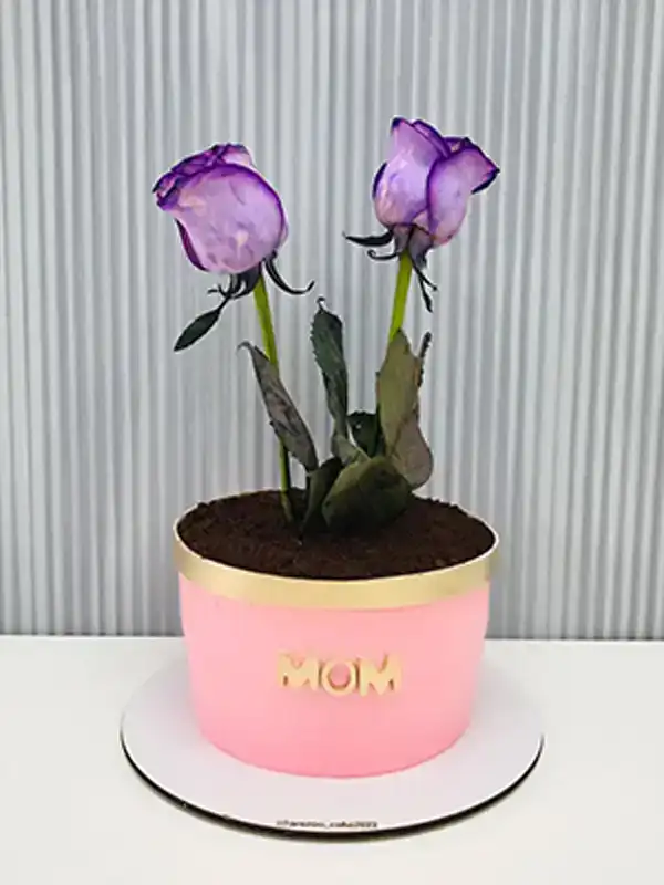 کیک مدل گلدان گل + جدید ترین کیک مدل گلدان گل سال