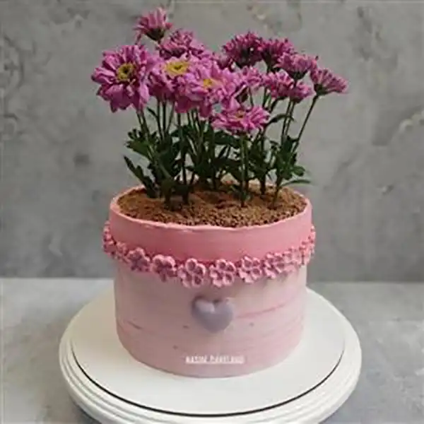 کیک مدل گلدان گل + جدید ترین کیک مدل گلدان گل سال