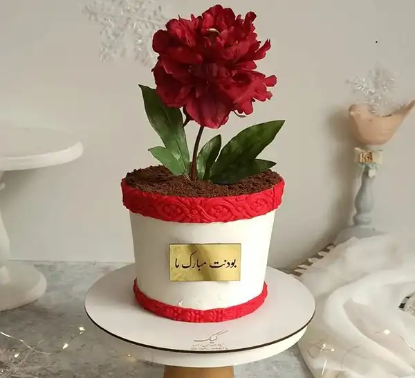 کیک مدل گلدان گل + جدید ترین کیک مدل گلدان گل سال