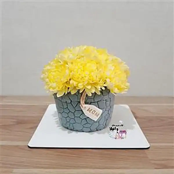 کیک مدل گلدان گل + جدید ترین کیک مدل گلدان گل سال