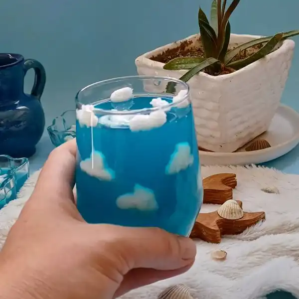 مدل ژله برای جشن آب + 15مدل ژله خاص و تزیین شیک برای جشن آب 