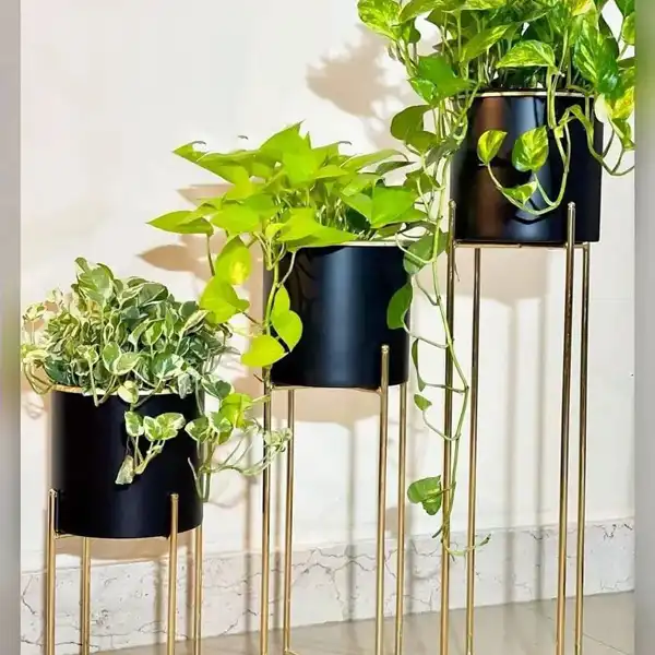 مدل استند گلدان فلزی + مدل استند گلدان فلزی طرح های تزیینی مدرن،کلاسیک و خاص