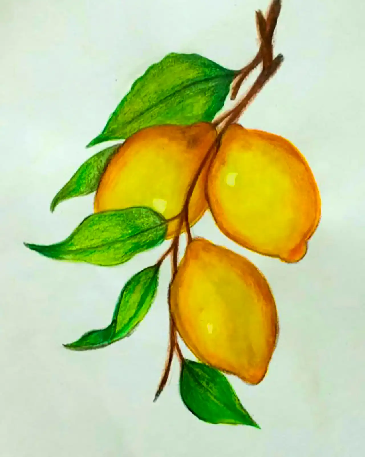 نقاشی سه بعدی با مداد رنگی