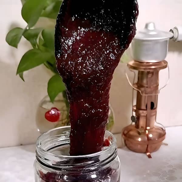 طرز تهیه رب آلوچه