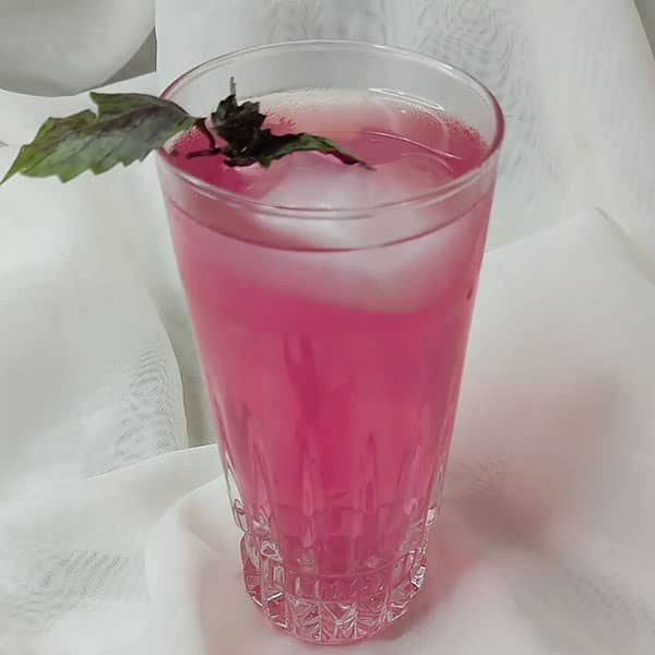فیلم شربت ریحان فواید شربت ریحان خواص شربت ریحان بنفش شربت ریحان و نعنا شربت ریحان نی نی سایت طرز تهیه شربت بنفش رنگ شربت ریحان در طب سنتی قیمت شربت ریحان