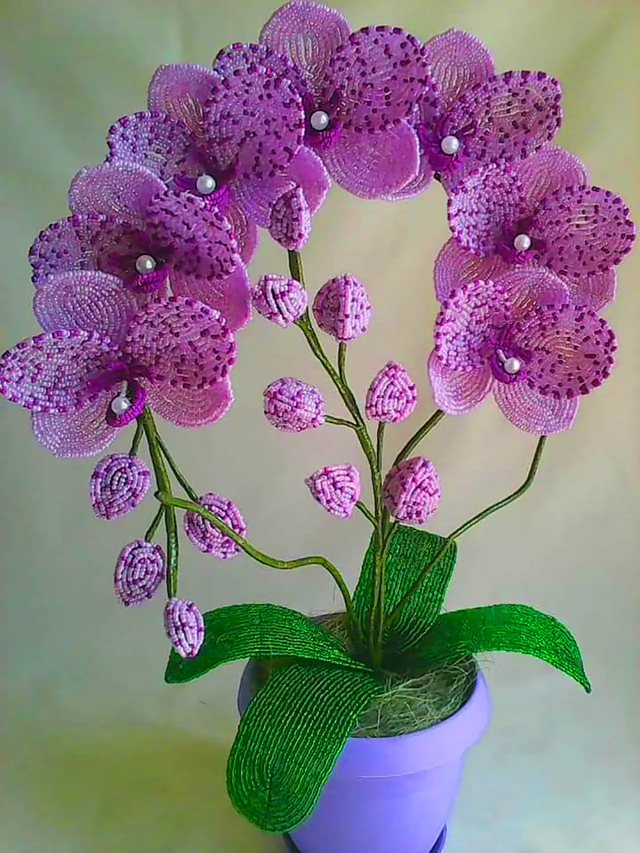 درخت تزئینی گل بهاری 