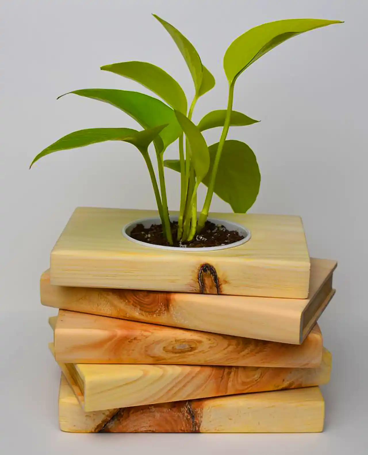 گلدون چوبی دکوری رومیزی