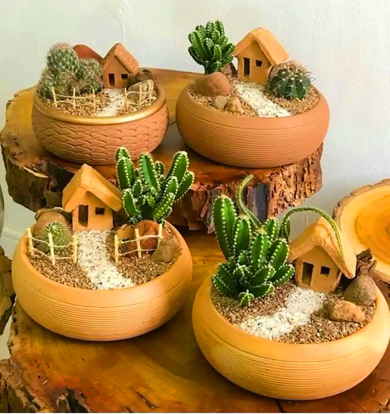 گلدون دکوری کاکتوس 