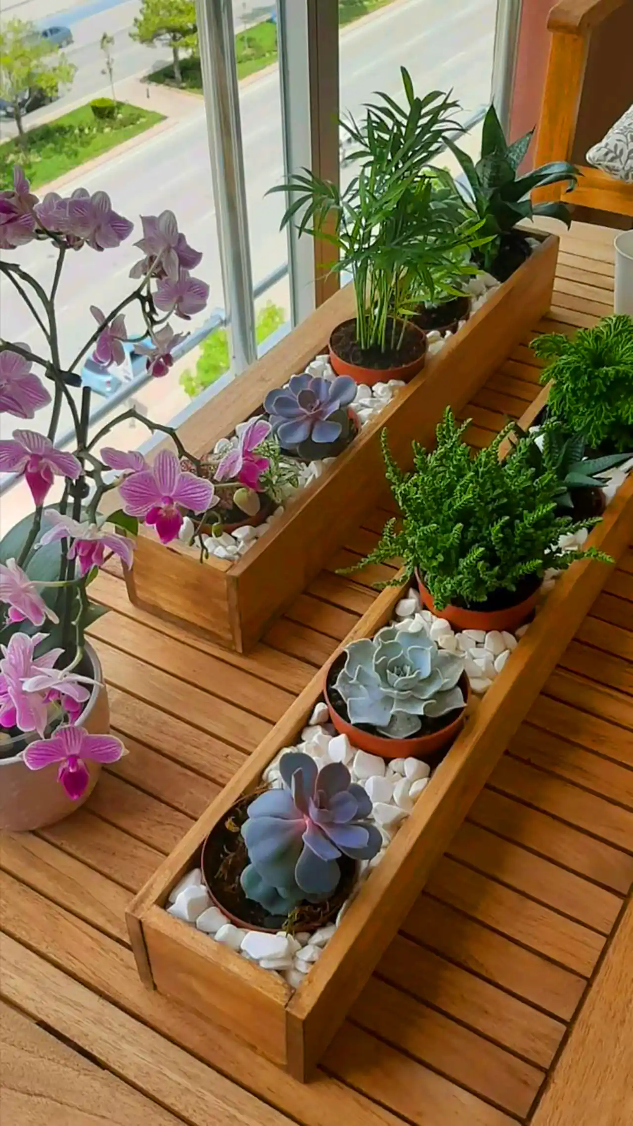 گلدون دکوری کاکتوس 