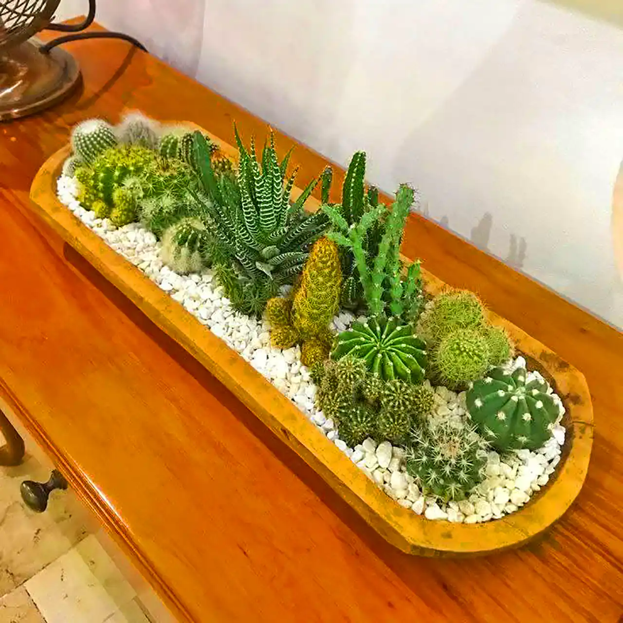 گلدون دکوری کاکتوس 