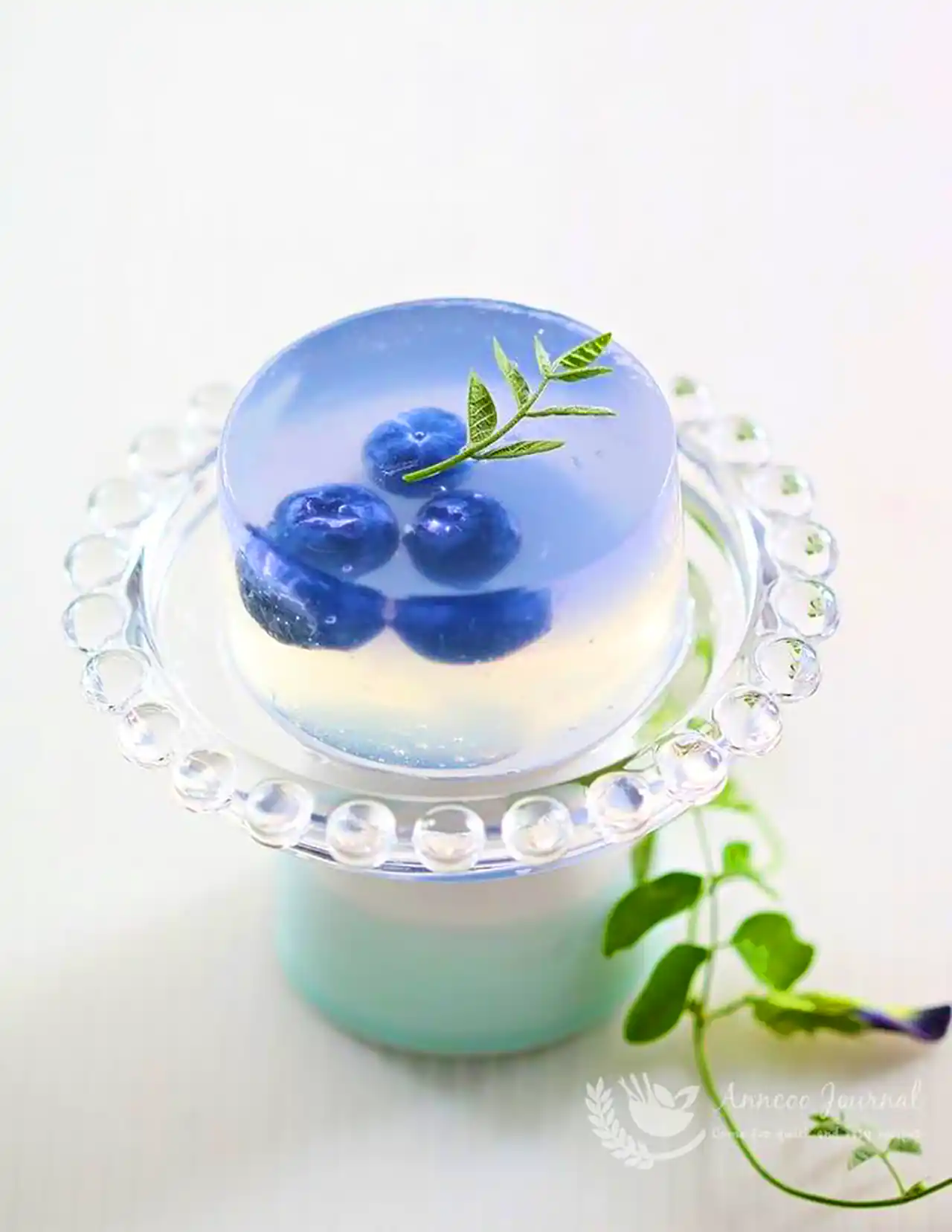 سرو ژله خوش رنگ مجلسی 