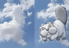 تعبیر خواب ابر به شکل حیوان + برای زن متاهل و باردار و دختر مجرد و از دید مولف