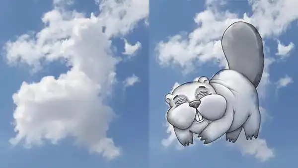 تعبیر خواب ابر به شکل حیوان + برای زن متاهل و باردار و دختر مجرد و از دید مولف