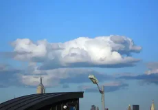 تعبیر خواب ابر شکل دار + برای زن متاهل و باردار و دختر مجرد و از دید مولف