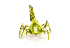 تعبیر خواب عقرب سبز + برای زن متاهل و باردار و دختر مجرد و از دید مولف