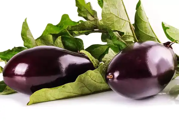 تعبیر خواب بادمجان برای زن باردار + برای زن متاهل و باردار و دختر مجرد و از دید مولف