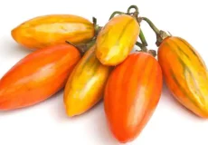 تعبیر خواب بادمجان قرمز + برای زن متاهل و باردار و دختر مجرد و از دید مولف